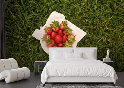 fresh strawberries to decorate grown in Colombia Wall mural