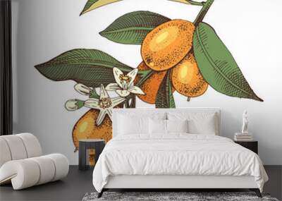 Hand drawn blooming kumquat branch with ripe fruits. Wall mural