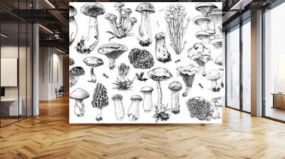 Hand drawn edible mushrooms collection Wall mural