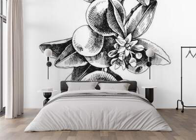 Hand drawn mandarin branch Wall mural