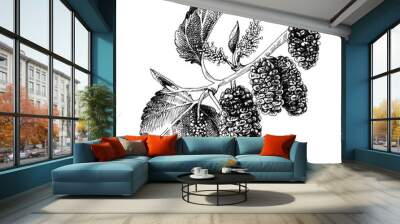 Hand drawn mulberry branch Wall mural