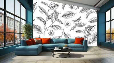 Hand drawn set of tea plant branches, leaves and flowers Wall mural