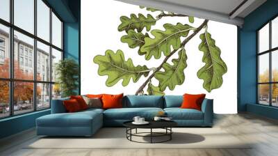 oak tree branch with green leaves Wall mural