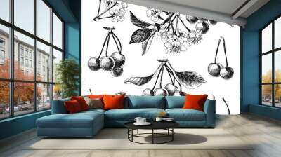 Set of cherry branches Wall mural