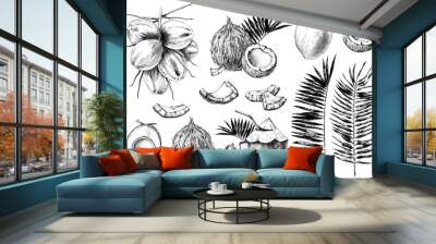 Set of hand drawn coconuts. Wall mural