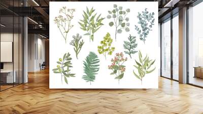 Set of hand drawn colorful flowers, leaves and branches. Wall mural