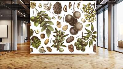 Vector nut branches and nuts collection Wall mural