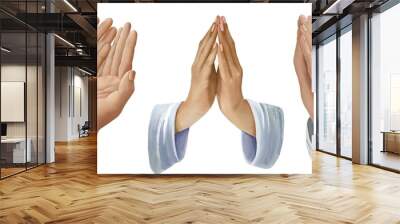 hands in prayer isolated on white background Wall mural