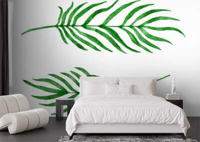 Watercolor hand drawn illustration of tropical plm leaves, green summer leaf design, isolated tree brach foliage greenery, exotic brigh plant decoration jungle forest art. Wall mural