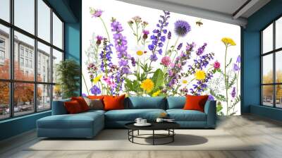 Colorful meadow and garden flowers with insects, transparent background	 Wall mural