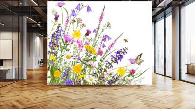 Colorful meadow flowers with insects, transparent background Wall mural