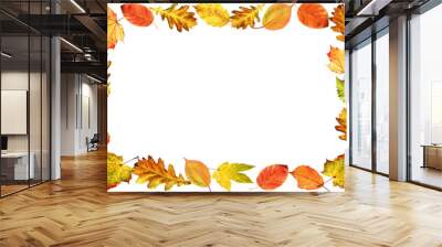 Frame, autumn foliage Wall mural