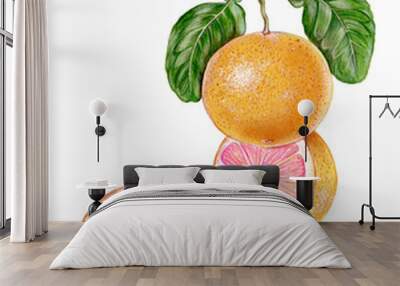 realistic illustration of pink grapefruit (Citrus paradisi) with a branch with fruit and leaves. watercolor Wall mural