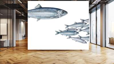 realistic illustration off herring (Clupea harengus)fish and a shoal of herrings on white, watercolor hand drawn illustration Wall mural