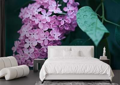 branch of lilac close-up. flowers of pink color on a green background Wall mural