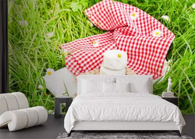 Soft blue cheese and a knife on green grass. Dairy products for a healthy diet in nature and crackers. Sunlight in the photo. Wall mural