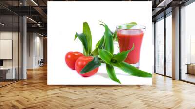 Tasty tomato juice in glass, greens, two raw tomatoes isolated on white background. Copy space Wall mural