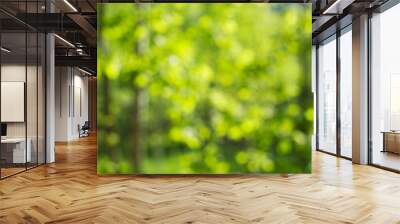 Unfocused green forest with sunlight. Summer background. Wall mural