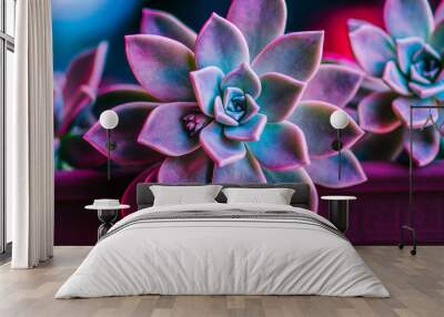 succulent (purple and green) Wall mural