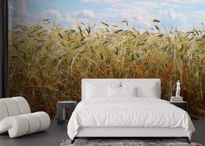 Wheat ears on a Sunny day against a bright blue sky.. Wall mural