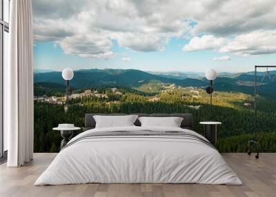 Green coniferous forest and grass meadows top view aerial view. Beautiful mountain range against blue sky on sunny Wall mural