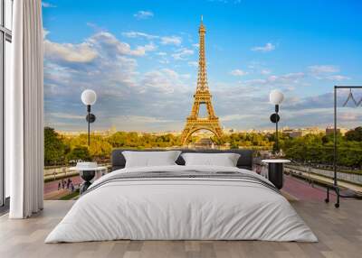 Eiffel Tower and fountain at Jardins du Trocadero at sunset in Paris, France. Travel background Wall mural