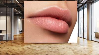 Perfect natural lip makeup. Close up macro photo with beautiful female mouth. Plump full lips. Close-up face detail. Perfect clean skin, light fresh lip make-up. Beautiful spa tender lip

 Wall mural