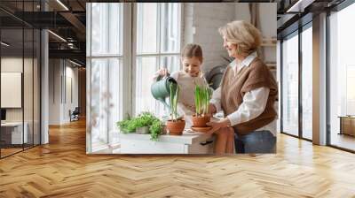 an elderly woman grandmother and a little girl granddaughter take care of and plant potted plants in Wall mural