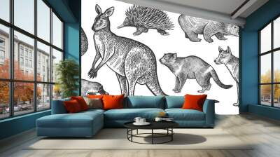 Animals of Australia set. Wall mural