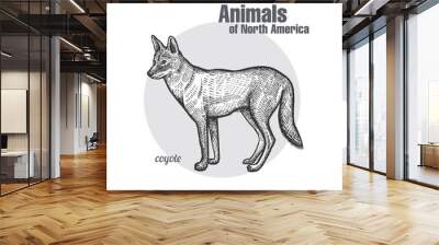 Coyote. Animals of North America series. Wall mural