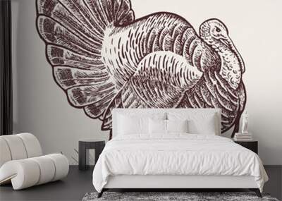 graphic illustration - poultry turkey. Wall mural