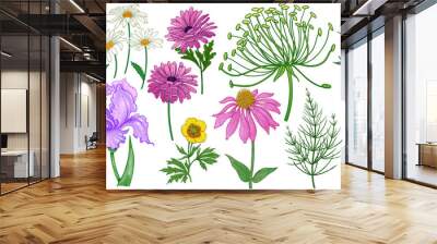 Set of white garden flowers and herbs isolated on white background. Vector. Vintage. Wall mural