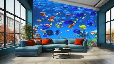 Colorful schools of tropical fish. Underwater coral reef background Wall mural