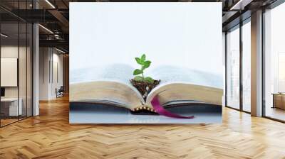 Green plant growing in soil on top of an open Holy Bible Book with golden pages on white background. Copy space. A close-up. Christian maturity, spiritual growth, biblical concept. Wall mural