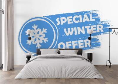 special winter offer with snowflake sign, drawn banner, vector Wall mural