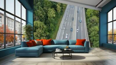  Aerial view of highway bridge in forest in Switzerland, Europe Wall mural