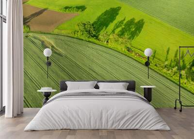 Aerial view of rural farmland with green meadows in countryside in Switzerland, Europe. Wall mural