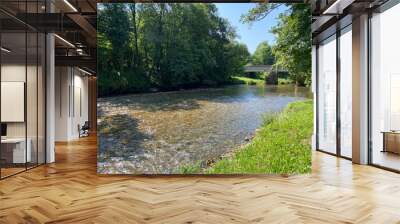 Kupica river before the confluence with the Kupa, Brod na Kupi - Gorski kotar, Croatia (Rijeka Kupica prije utoka u Kupu, Brod na Kupi - Gorski kotar, Hrvatska) Wall mural