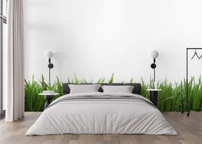 frame background with green grass Wall mural