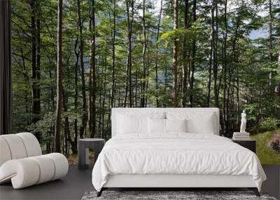 mixed deciduous forest on the alpine slopes of the fratarica stream canyon, log pod mangartom (trigl Wall mural