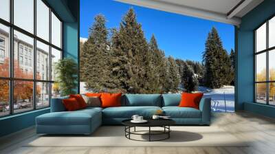 Picturesque canopies of alpine trees in a typical winter atmosphere after the winter snowfall above the tourist resorts of Valbella and Lenzerheide in the Swiss Alps - Canton of Grisons, Switzerland Wall mural