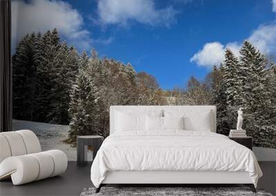 Picturesque canopies of alpine trees in a typical winter atmosphere after the winter snowfall over the Lake Walen or Lake Walenstadt (Walensee) and in the Swiss Alps, Amden - Switzerland / Schweiz Wall mural