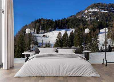 Rocky alpine hill Hinterfallenchopf or Hinderfallenchopf (1531 m.a.s.l.) in winter ambience and covered with fresh snow cover - Appenzell Alps massif, Switzerland (Schweiz) Wall mural