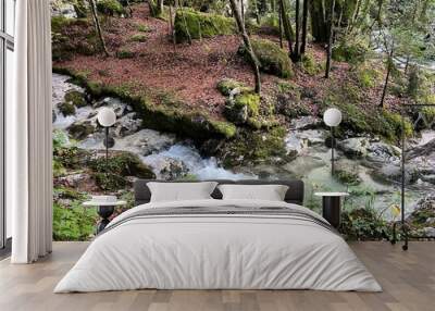 The Lepenjica stream in the area of ​​Šunik's water grove or the Lepenca stream in the alpine valley of Lepena (Bovec, Slovenia) - Der Bach Lepenjica im Bereich des Wasserhains von Šunik (Slowenien) Wall mural