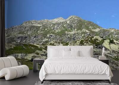 The Monte Prosa peak (2737 m) in the massif of the Swiss Alps and in the area of the mountain St. Gotthard Pass (Gotthardpass), Airolo - Canton of Ticino (Tessin), Switzerland (Schweiz) Wall mural