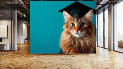 luffy funny cat wearing a graduate regalia black hat on blue background with copy space Wall mural