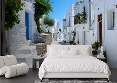 A narrow street lined with white buildings and potted plants Wall mural