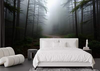 Foggy Forest Path: A winding path through a dense, fog-covered forest, creating a sense of mystery.
 Wall mural