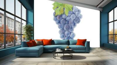 grapes isolated on a white background.vector, watercolor hand dr Wall mural