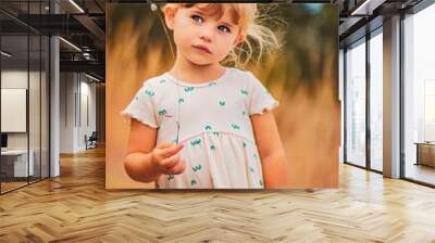 little girl in a field with a beautiful dress  Wall mural